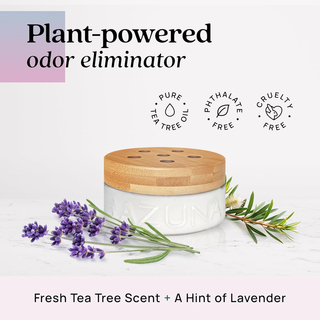 Air Freshener & Odor Eliminator for Strong Odor | 2 Room Kit Includes (2) 8 Oz. Empty Luxe Glass Jars & 12 Oz | Plant Powered by Australian Tea Tree Oil | Aromatherapy | Last 60-90 Days